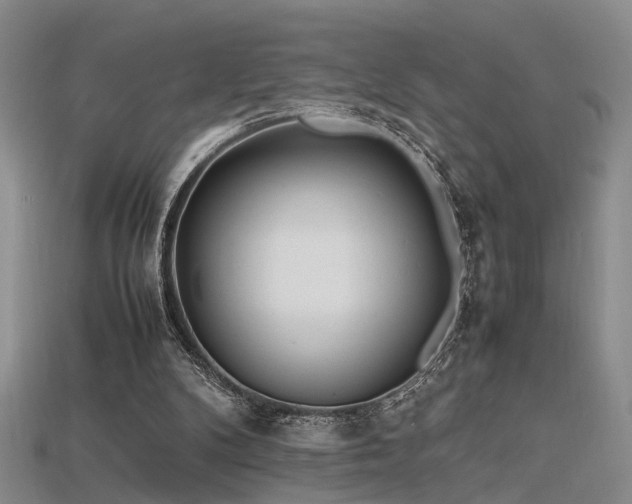 X0000115740104200911121545