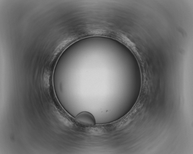 X0000115740106200911121545