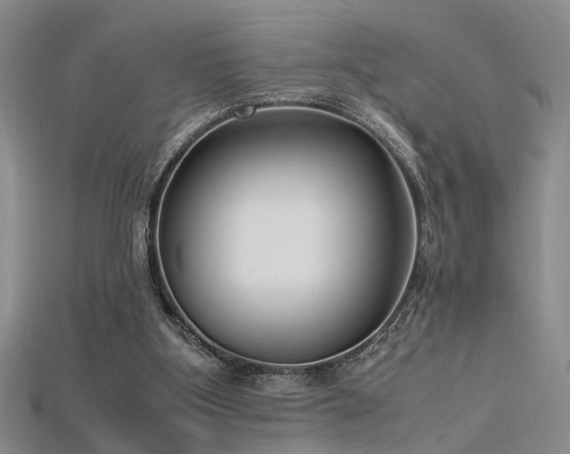 X0000115740107200911121545