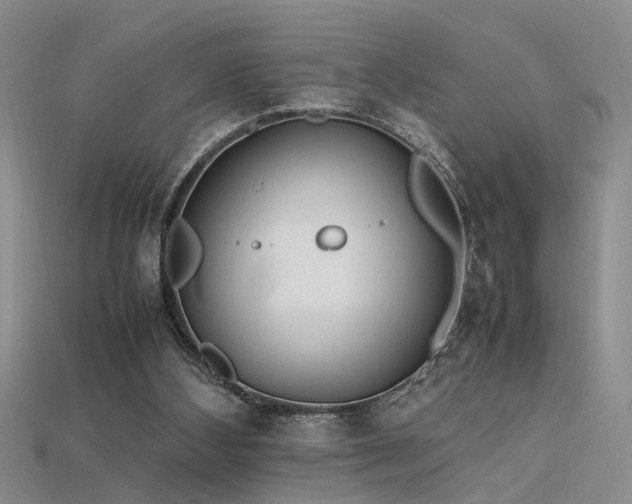 X0000115740108200911121545