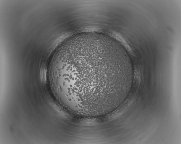 X0000115740110200911121545