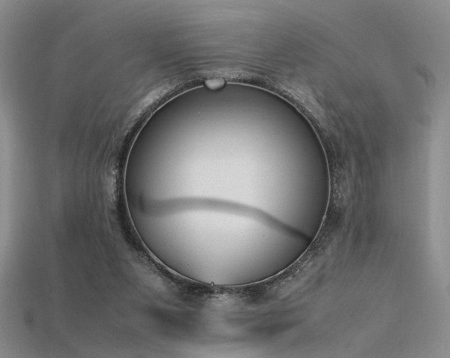 X0000115740111200911121545