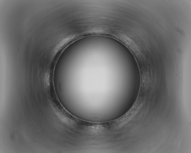 X0000115740112200911121545