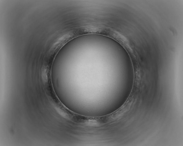 X0000115740114200911121545