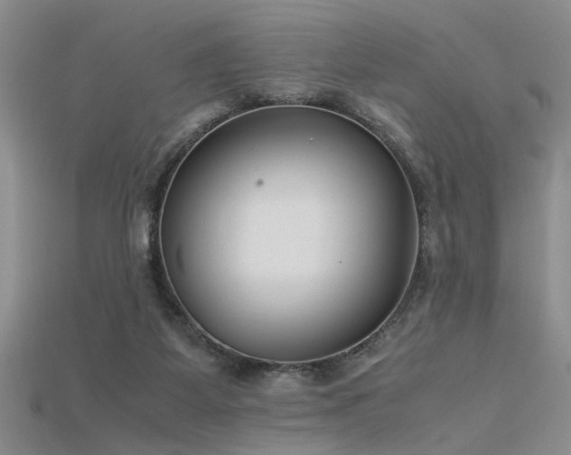 X0000115740115200911121545