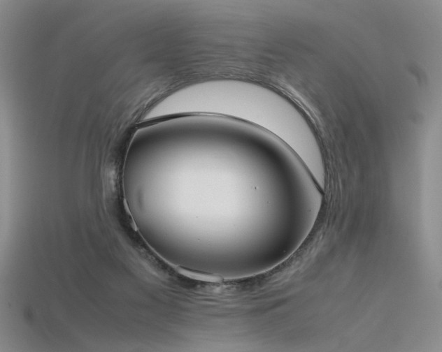 X0000115740117200911121545