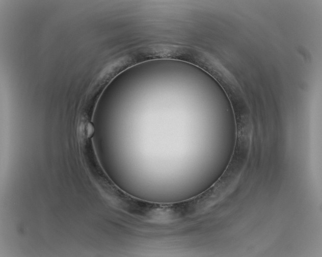 X0000115740119200911121545