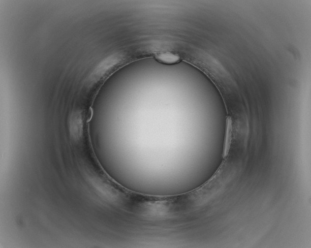 X0000115740120200911121545