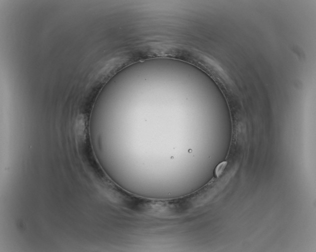 X0000115740121200911121545