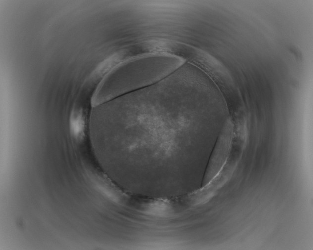 X0000115740124200911121545