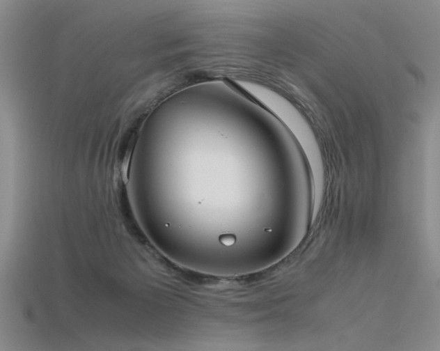 X0000115740125200911121545