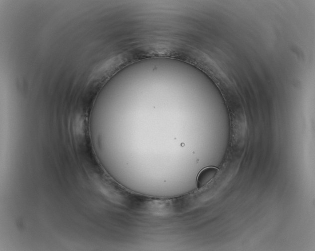 X0000115740126200911121545