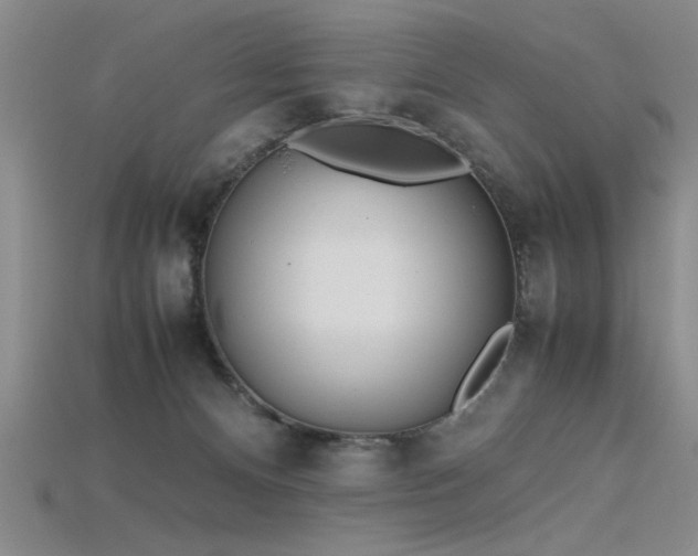 X0000115740128200911121545