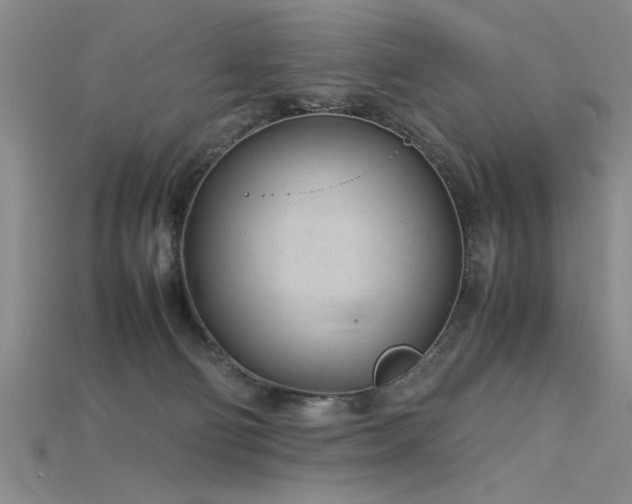 X0000115740130200911121545