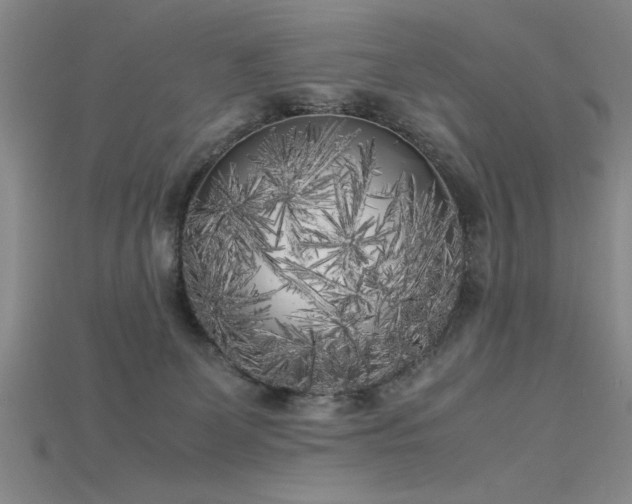 X0000115740131200911121545