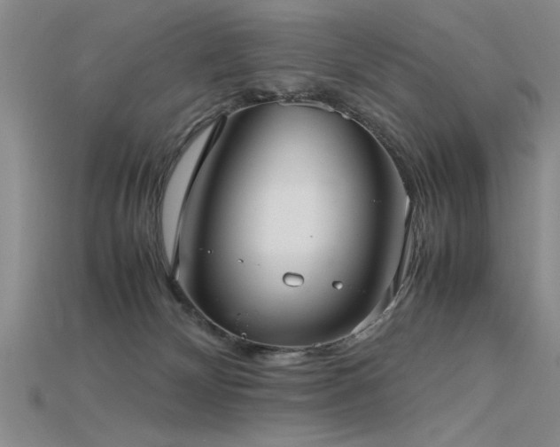 X0000115740132200911121545