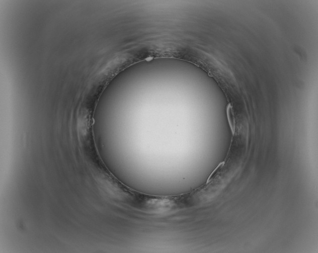 X0000115740133200911121545