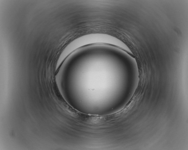 X0000115740136200911121545