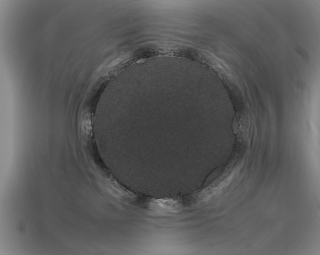 X0000115740137200911121545