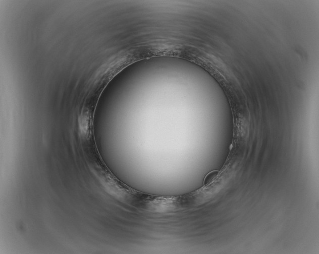 X0000115740138200911121545