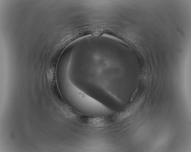 X0000115740139200911121545