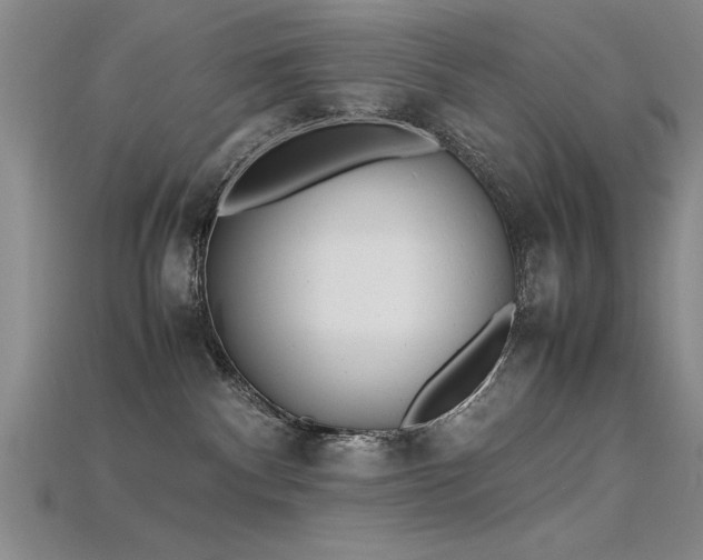 X0000115740140200911121545