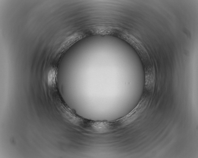 X0000115740142200911121545