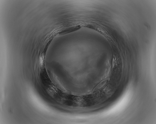 X0000115740143200911121545