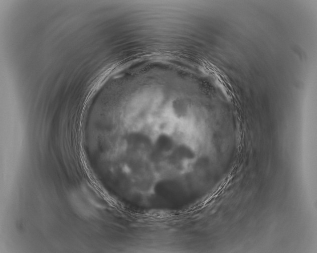 X0000115740145200911121544