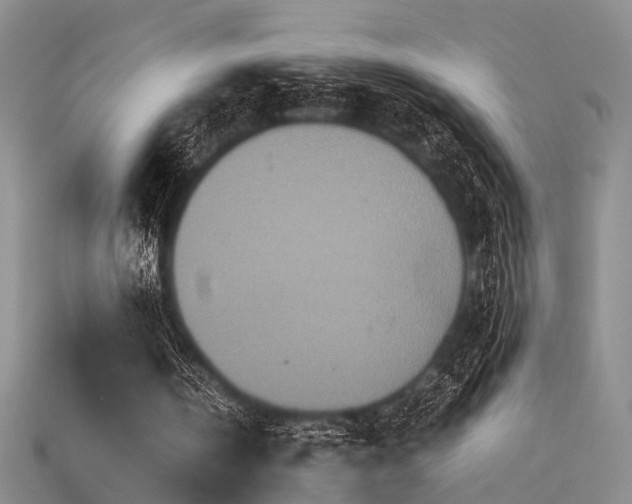 X0000115740146200911121544