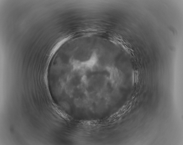 X0000115740147200911121544