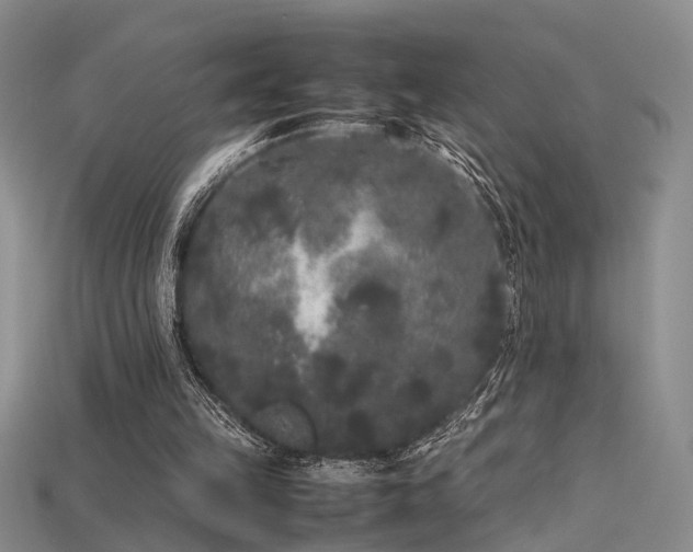 X0000115740149200911121544