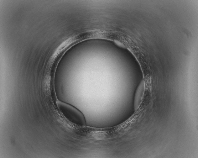 X0000115740150200911121544