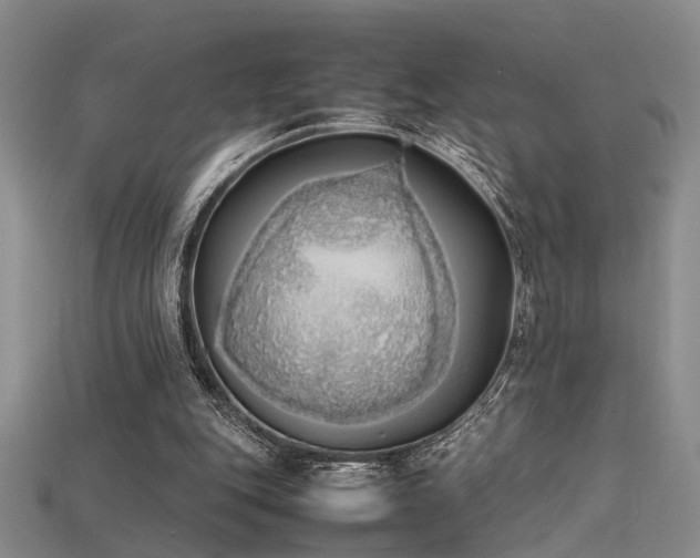 X0000115740151200911121544