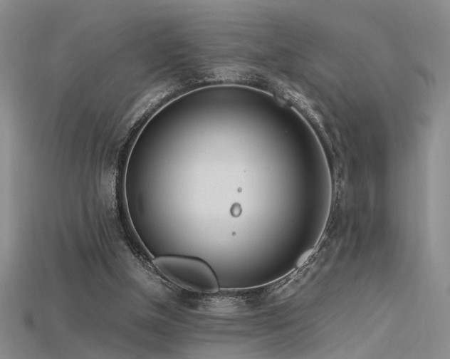 X0000115740154200911121544