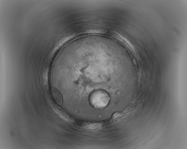 X0000115740155200911121544