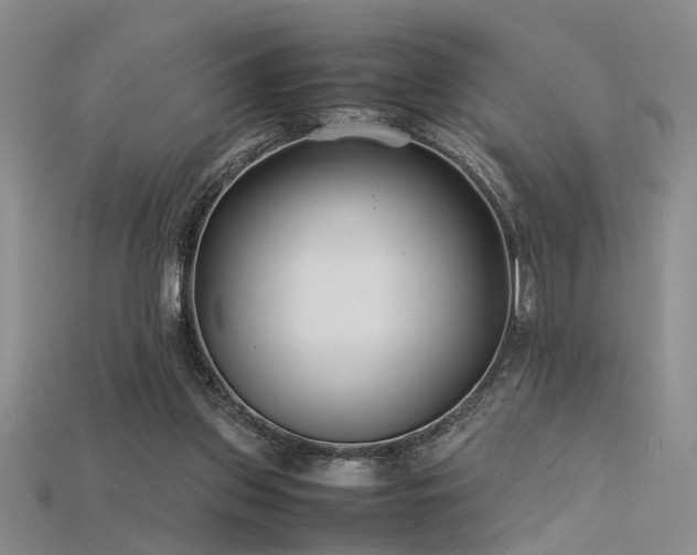 X0000115740157200911121544