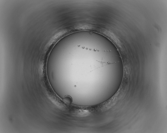 X0000115740159200911121544