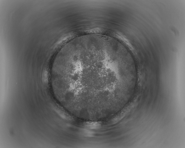 X0000115740161200911121544