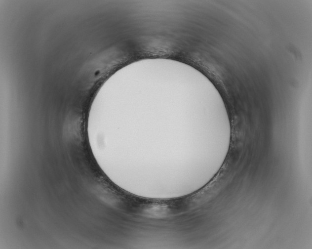 X0000115740162200911121544