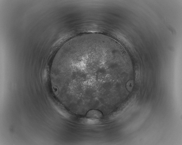 X0000115740165200911121544