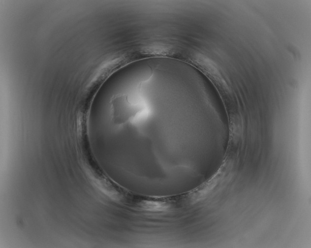 X0000115740167200911121544