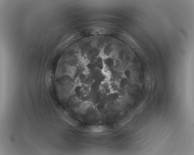 X0000115740169200911121544