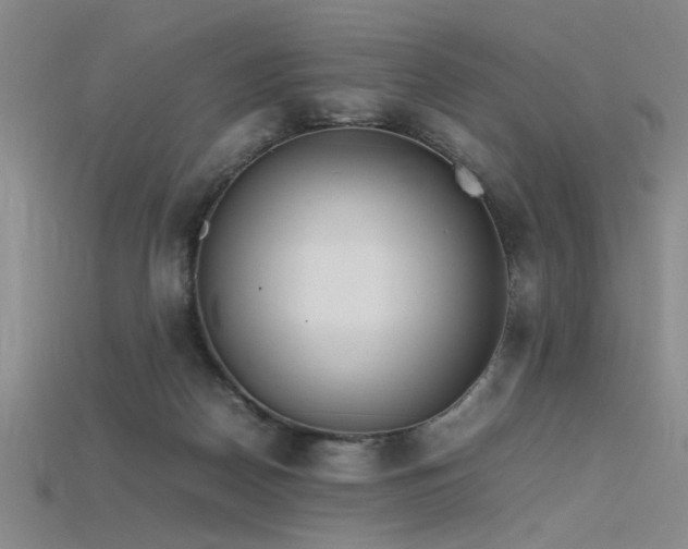 X0000115740170200911121544