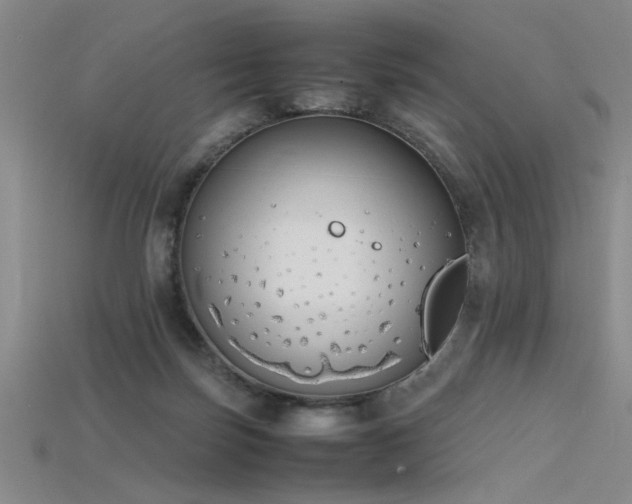 X0000115740171200911121544