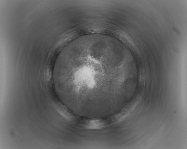 X0000115740173200911121544