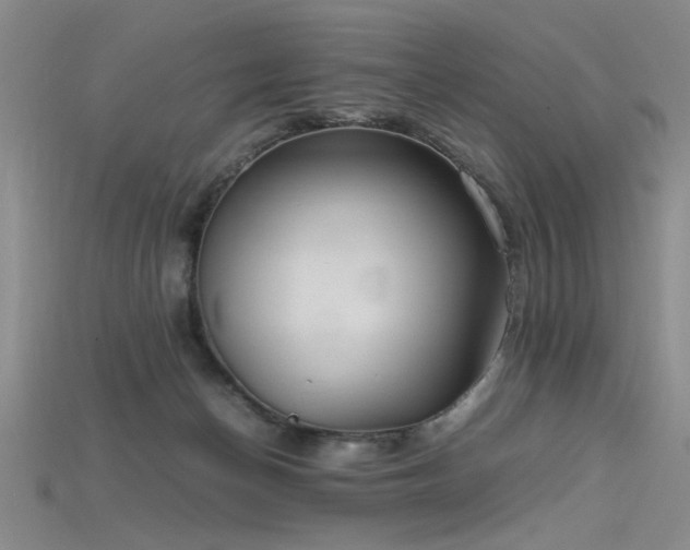 X0000115740174200911121544