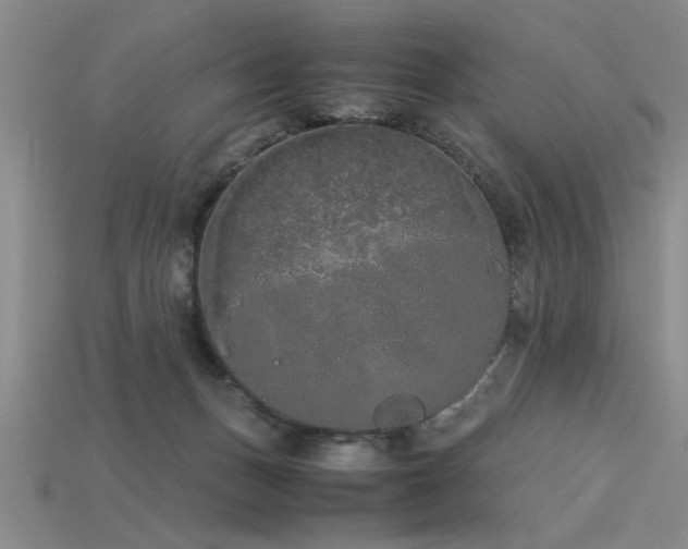 X0000115740175200911121544