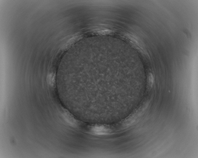 X0000115740177200911121544