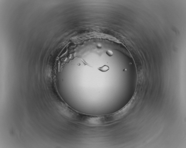 X0000115740178200911121544